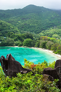 塞舌尔美丽的海滩 马埃 海景 旅行 棕榈 马河 树图片