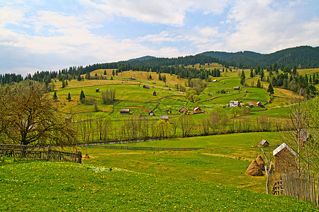 农村地区夏季的景点图片