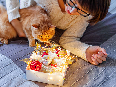 好奇又可爱的姜猫想在灯泡园里玩耍 毛绒宠物和装有圣诞装饰品的盒子 新年前回家很舒适 十二月 冬天图片