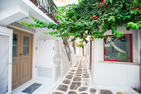 希腊岛上狭窄的街道上有蓝色的阳台 楼梯和鲜花 美丽的建筑外观与基克拉迪风格 圣托里尼 娱乐图片