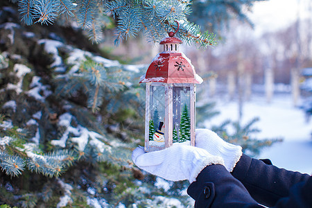 雪冬日风枝上的圣诞灯笼 户外 冷杉 冬天 装饰风格图片