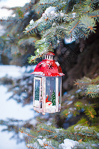 圣诞灯笼上挂着雪花 挂在树枝上 蓝色的 户外 圣诞树图片