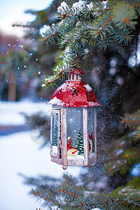 圣诞灯笼上挂着雪花 挂在树枝上 花园 烛光图片