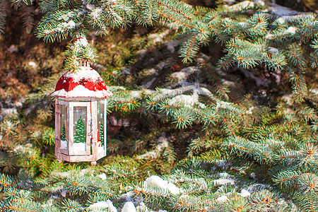 圣诞灯笼上挂着雪花 挂在树枝上 晚上 冰冷的 冬天图片