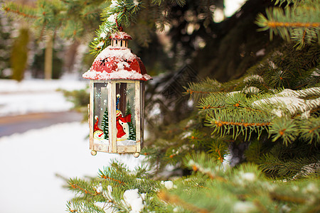 圣诞灯笼上挂着雪花 挂在树枝上 冷杉 假期 圣诞树图片