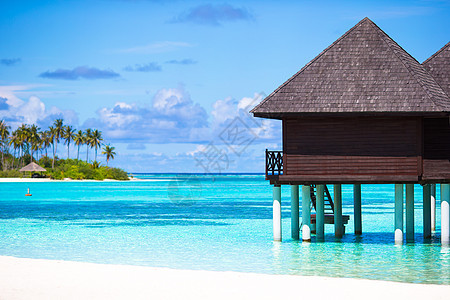 马尔代夫有含涡松水的水的平房 海 棕榈 蓝色的图片