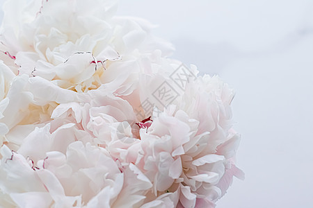 牡丹花束作为豪华花卉背景婚礼装饰和活动品牌 晋升 花香图片