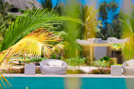 美丽的豪华雨伞沙滩和椅子 在旅馆度假村游泳 阳台 酒店图片