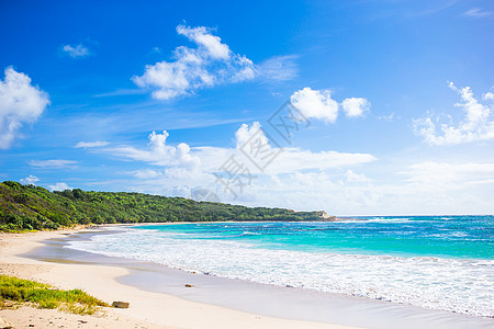 加勒比有白色沙滩 绿绿海海水和蓝天空的长发热带热带海滩 自然图片