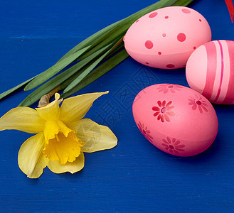 黄色盛开的水仙花和蓝色木坝上的复活节粉色彩蛋 画 塑料图片