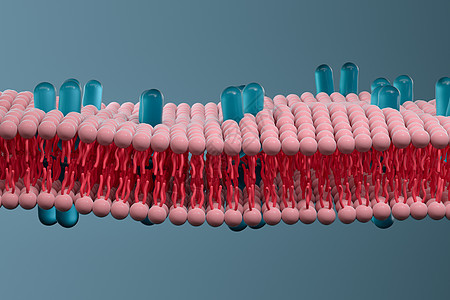 细胞膜和生物学 生物概念 3D感应 健康图片