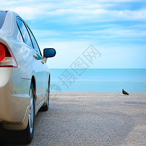 海滩沙滩 鸟 海洋 幸福 车 自由 蓝色的 快乐的 公园图片