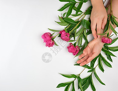 一个皮肤光滑的年轻女孩的两只手和一束红色的花束 浪漫的 女士图片
