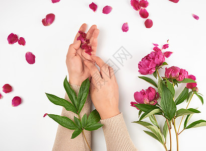 一个皮肤光滑的年轻女孩的两只手和一束红色的花束 盛开 婚礼图片