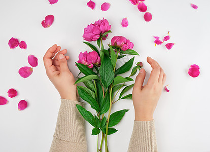 一个皮肤光滑的年轻女孩的两只手和一束红色的花束 春天 开花图片