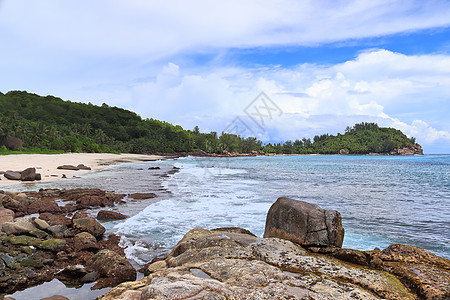 塞舌尔天堂岛屿上的日晒海滩观光景 海景 树图片