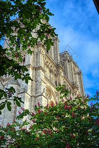 法国巴黎圣母圣母院 著名的 旅行 天主教的 城市图片