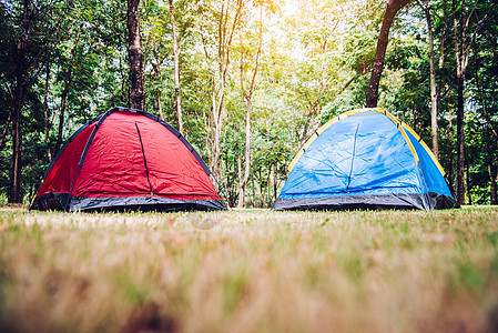 清晨在树下露营和帐篷 阳光 太阳 假期 夏天 森林图片