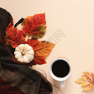 秋天的平整风格 和感恩节与南瓜 咖啡 柔和的图片