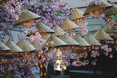 河内市美丽的春天节节装饰 花卉视觉 亚洲圆锥形帽子 文化 亚洲图片