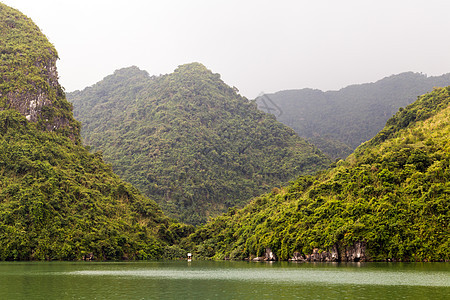 长湾绿岛 长山越南 龙 山景 水 石头 旅行 岩石图片