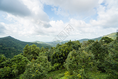 多云的夏季热带森林山丘 蓝天上的群山和白云 热带暑假度假概念 植物群 树木图片