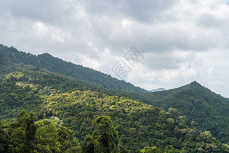 多云的夏季热带森林山丘 蓝天上的群山和白云 热带暑假度假概念 蒙蒙 雨图片