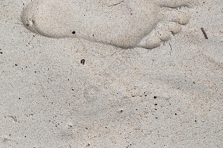 塞舌尔广场上白色沙滩的美丽照片 老的 脚印 宏观图片