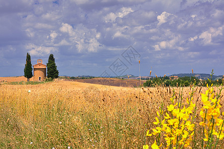 'Orcia 在托斯卡纳图片