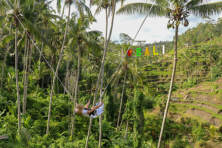 一个年轻的女孩在高高的峡谷上荡秋千 巴厘岛热带丛林雨林的悬崖上荡秋千的年轻女游客 秋千悬挂在两棵椰子树之间 放松 美丽图片