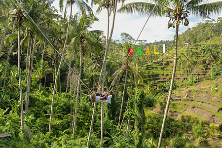 一个年轻的女孩在高高的峡谷上荡秋千 巴厘岛热带丛林雨林的悬崖上荡秋千的年轻女游客 秋千悬挂在两棵椰子树之间 摆动 印度尼西亚图片
