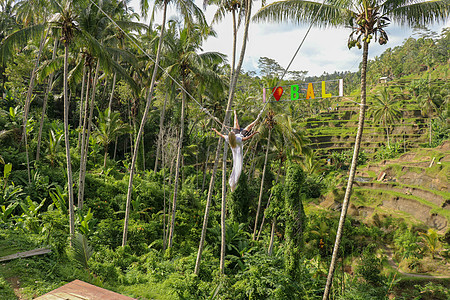 一个年轻的女孩在高高的峡谷上荡秋千 巴厘岛热带丛林雨林的悬崖上荡秋千的年轻女游客 秋千悬挂在两棵椰子树之间 我爱巴厘岛图片