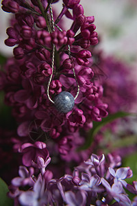 由天然石制成的领带 银装饰品 紫紫紫色花朵 在白食性羽毛上 美丽的 珠宝图片