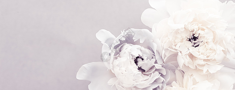 作为紫花背景 婚礼装饰品和奢华品牌的花卉艺术而盛开的鲜花花 晋升 开花图片