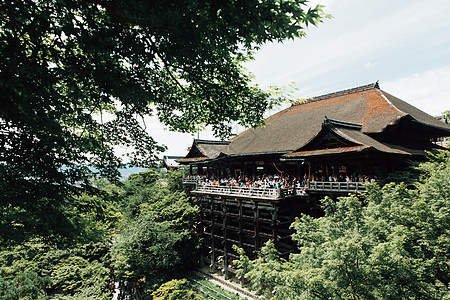 清水寺 京都日本鬼子有绿叶的日本神庙 叶子图片