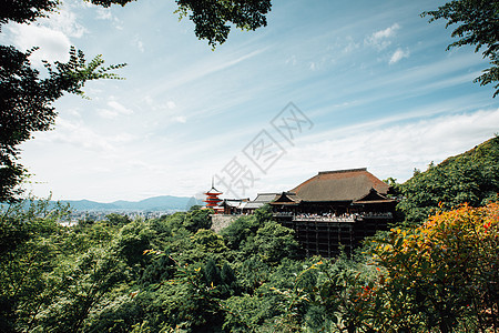 清水寺 京都日本鬼子有绿叶的日本神庙 神社图片