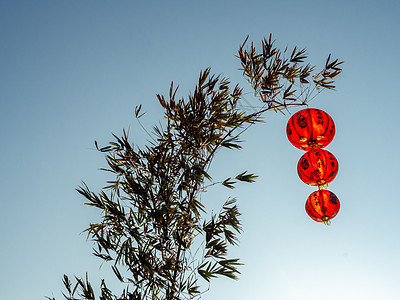 竹树上有中国红灯笼 节日 装饰风格 蓝色的 运气 天空 流苏图片