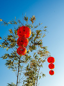 竹树上有中国红灯笼 纸 树叶 装饰风格 流苏 运气 旅行图片