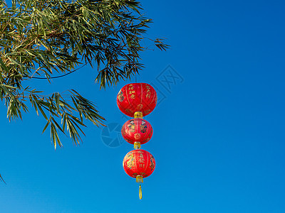竹树上有中国红灯笼 假期 文化 崇拜 装饰风格 亚洲 祝福图片