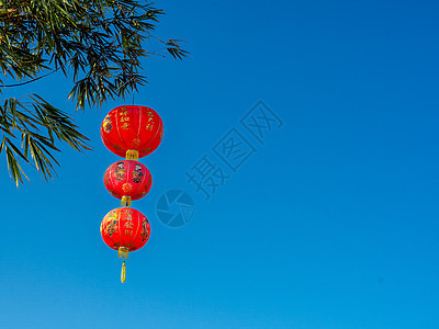 竹树上有中国红灯笼 竹子 装饰风格 纸 运气 蓝色的 繁荣图片