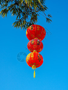 竹树上有中国红灯笼 节日 手工制作的 蓝色的 庆典 竹子图片