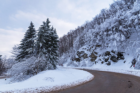 冬季道路 国家通过森林的公路 旅行概念 滑雪图片