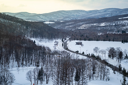冬季雪山林 有道路景观 风景 童话 精彩的 自然 旅游图片