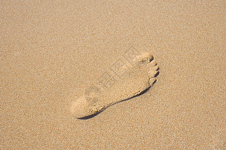 沙中脚印 假期 海滩 夏天背景图片