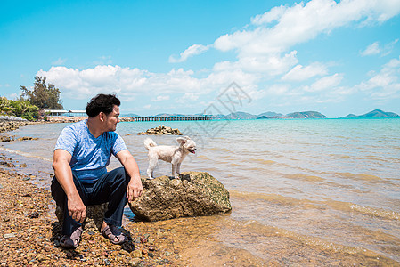 海上旅行时在岩石海滩玩狗乐 海景 宠物 博美犬 动物图片