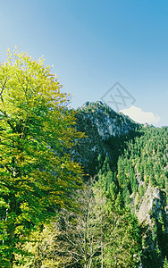 欧洲阿尔卑斯山的美丽自然 春季高山 湖泊和村庄的景观 旅游和目的地 假期 德国图片