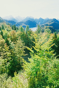 欧洲阿尔卑斯山的美丽自然 春季高山 湖泊和村庄的景观 旅游和目的地 风景 户外图片