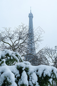 艾菲尔塔 巴黎冬天的雪下 树 季节 寒冷的 场景图片