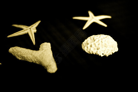 se 的星星和装饰石 装饰风格 平坦的 生活 海滩 纪念品背景图片