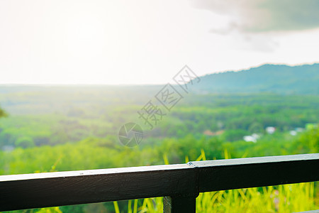 房子的露台或阳台 用于放置树 森林和林图片